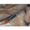 Hlaváč horský - Sicyopterus macrostetholepis