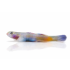 ChatGPT Image 16. 4. 2026, 10 45 23