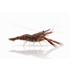 ChatGPT Image 16. 4. 2026, 10 18 36