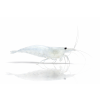 ChatGPT Image 16. 4. 2026, 09 13 49
