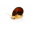 ChatGPT Image 16. 4. 2026, 13 34 27