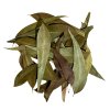 WIO Eucalyptus Leave