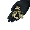 wio botanic 28 hand