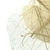 wio botanic 13 detail