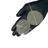wio botanic 13 hand