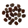 Wio Casuarina Big Pod