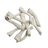 Wio Driftcactus Cholla Wood Bit