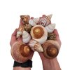 wio shell shelter hands web