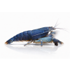 ChatGPT Image 16. 4. 2026, 10 22 19
