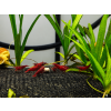 ChatGPT Image 13. 5. 2026, 15 41 43