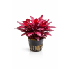 ChatGPT Image 16. 4. 2026, 15 03 18