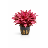 ChatGPT Image 16. 4. 2026, 15 07 05