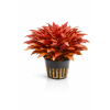 ChatGPT Image 16. 4. 2026, 15 11 11