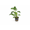 ChatGPT Image 16. 4. 2026, 14 42 57