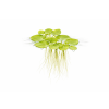 ChatGPT Image 16. 4. 2026, 15 22 19