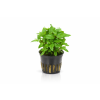 ChatGPT Image 16. 4. 2026, 15 38 07