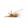 ChatGPT Image 16. 4. 2026, 13 22 38