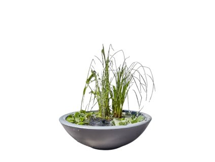 Návrh bez názvu (44)