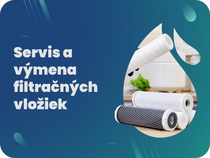 Servis