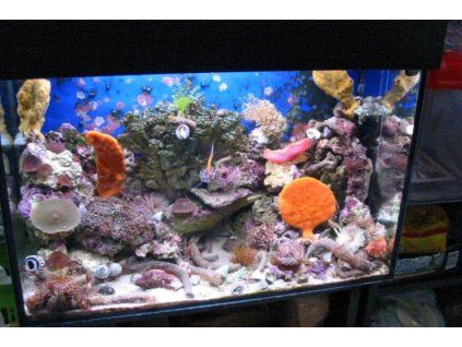 f pic1125