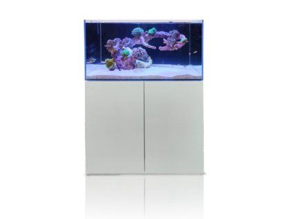 super reef 500. 491x491