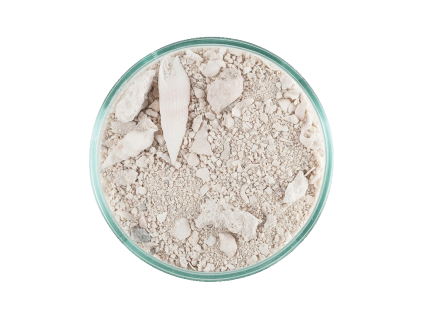 caribsea ocean direct original grade