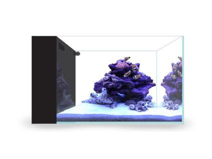 aio peninsula marine2 1024x508
