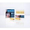 reef booster 6