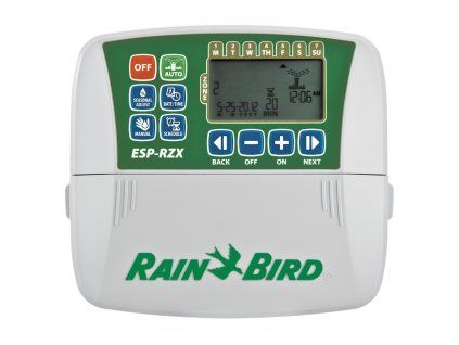 RBRZX8I