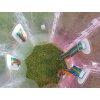 Bumper Bubble Ball Rot und Blau für Erwachsene undKindern | Knocker BubbleBall | zum Vekrauf ✅ Bumper Bubble-Bumper-FußballFussball Bällen ✅ Fussball spiel Bumper Ball ✅ Original mit CE Zertifikat ✅ Auf Lager