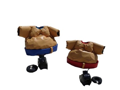 462 sumo wrestling ring