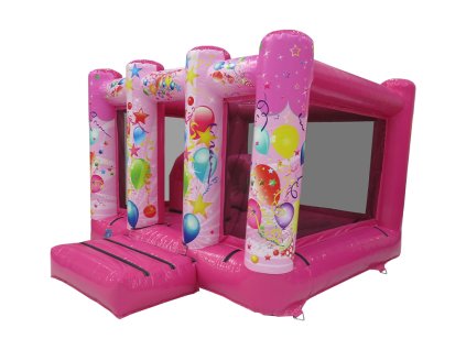 2613 pink party 4x3 1