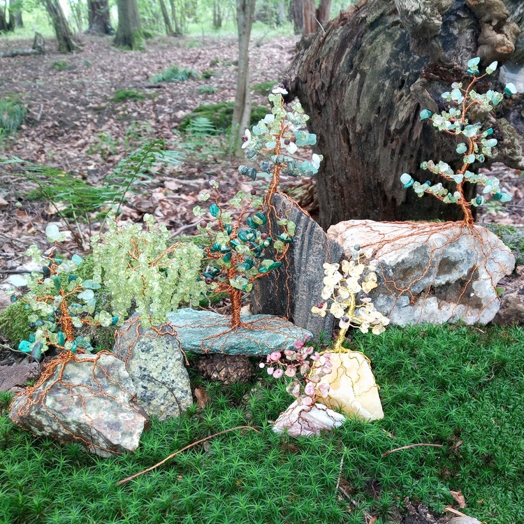 Quo Vadis AR? Se Stromy do lesa!