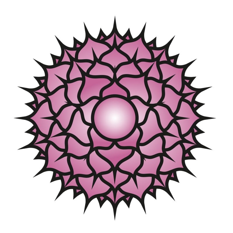 Temenní čakra Sahasrara