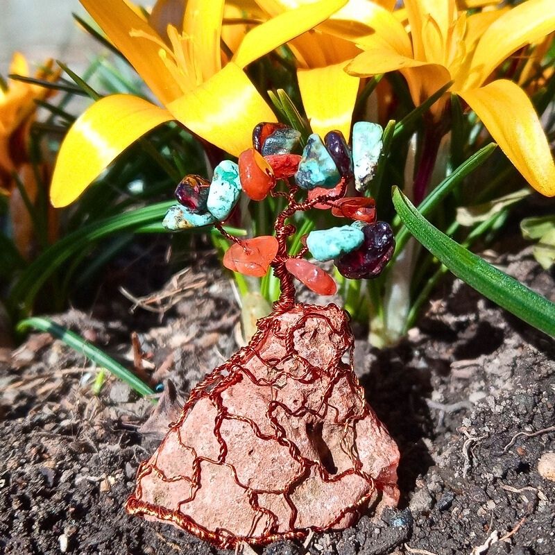Fiery Turquoise in blooming garden