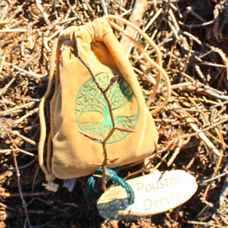 Planting the tree twin
