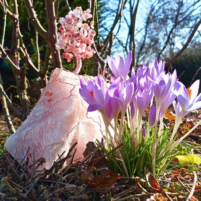 Spring Pink Cliff