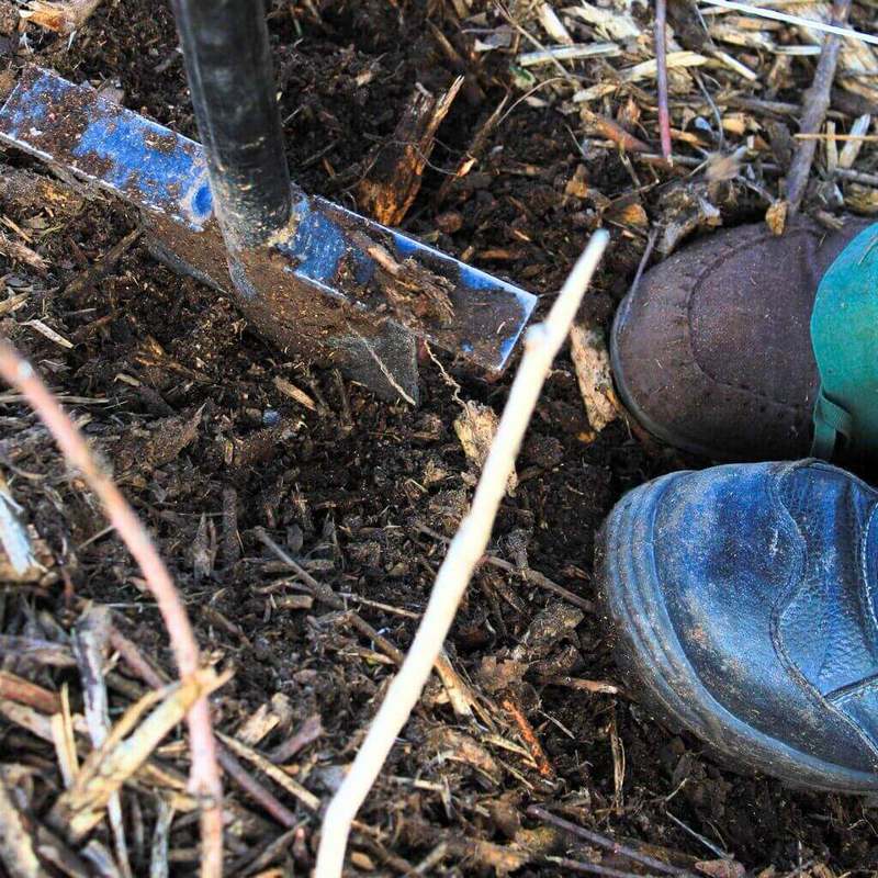 Planting with love