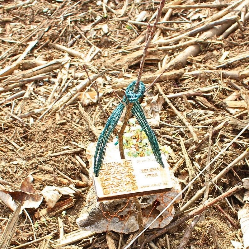 Planting trees