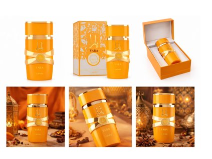 971bcfdd 482a 4de8 9195 92f59cb886f9