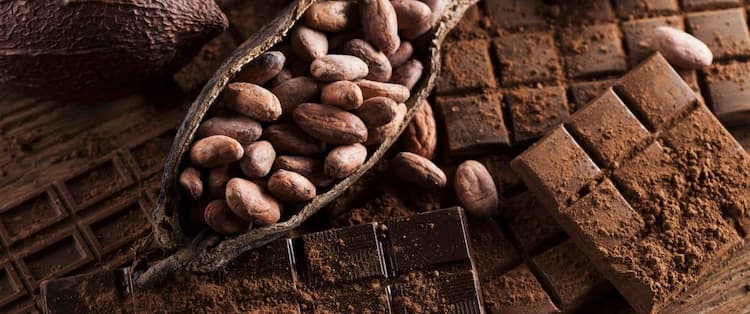 Odhalte, co stojí za původem čokolády