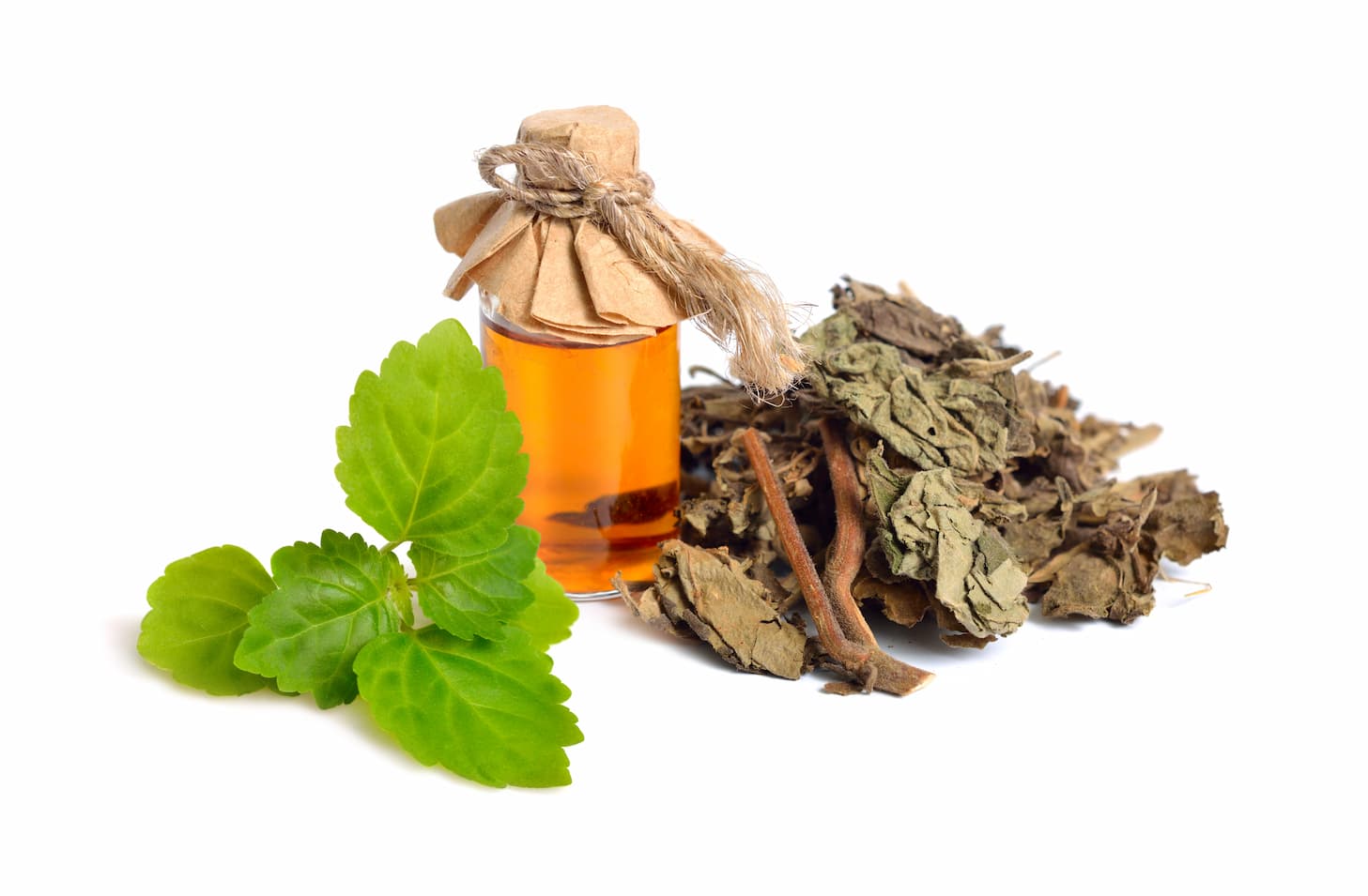 Jak voní Patchouli?