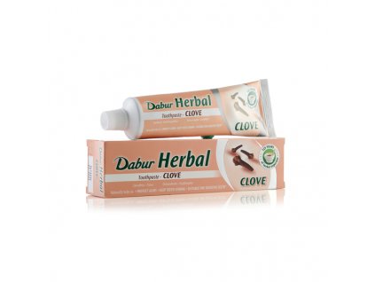 205 DABURHERBALTOOTHPASTE CLOVE100ML grande