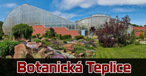 Sklípkani v botanické Teplice