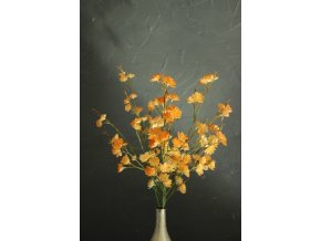 Kvetoucí větev - oranžová