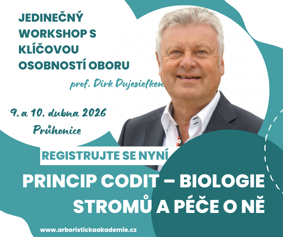 Workshop - Princip CODIT