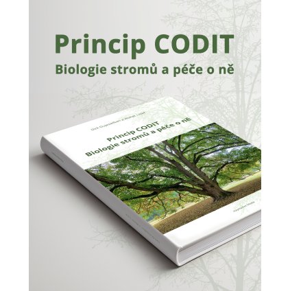 CODIT FB inzerce TEXT