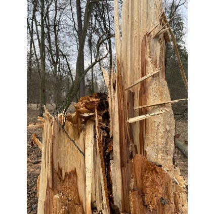 WhatsApp Image 2026 01 16 at 22.44.42