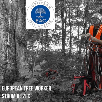 Přípravný kurz k certifikaci ETW (European Tree Worker)