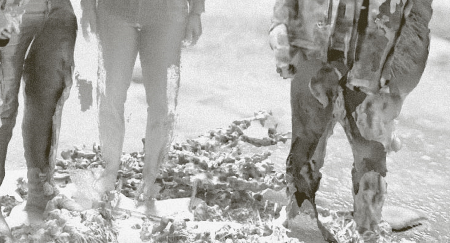 Právě vyšlo: Planeta Kampus